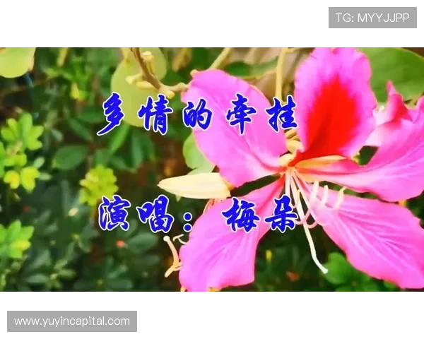 《牵挂》:一部温暖人心的年代剧,勾勒出普通中国人的奋斗与深情 《牵挂》:一部温暖人心的年代剧,勾勒出普通中国人的奋斗与深情