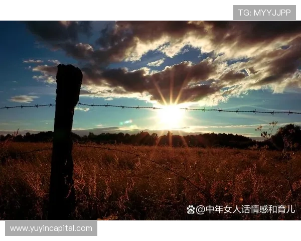 《一米阳光》:当温暖的光芒照进心灵深处 《一米阳光》:当温暖的光芒照进心灵深处