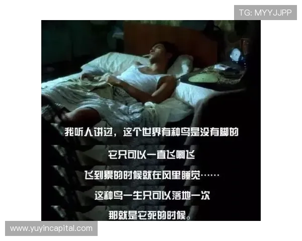 《永不回头》:一次人性的史诗,一次关于选择与救赎的深刻注解 《永不回头》:一次人性的史诗,一次关于选择与救赎的深刻注解